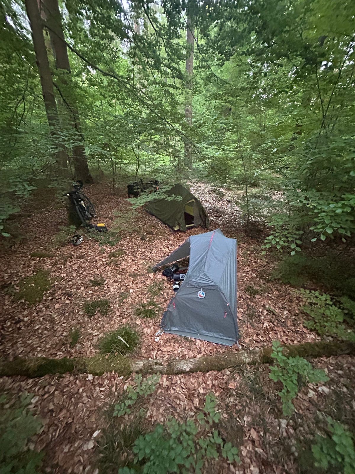 Zwei Zelte im Wald beim Wildcamp am Bodensee, 2025.