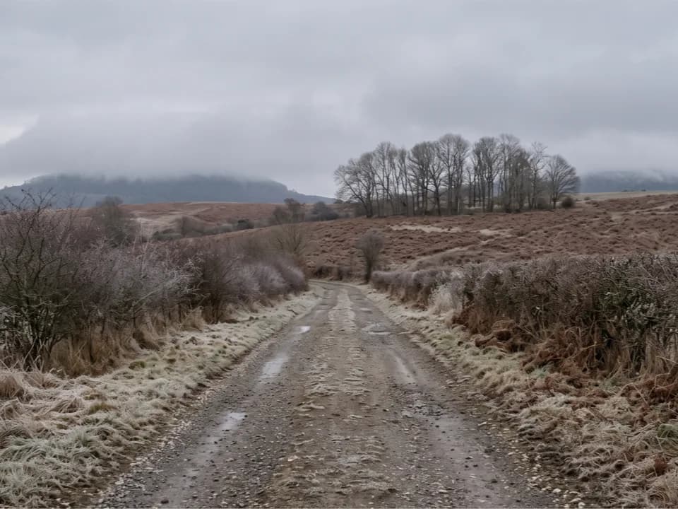 Ein nasser Schotterweg zwischen Raureif und braunem Farn, dahinter eine Gruppe kahler Bäume auf einer Kuppe, die Wolken hängen auf den Hügeln