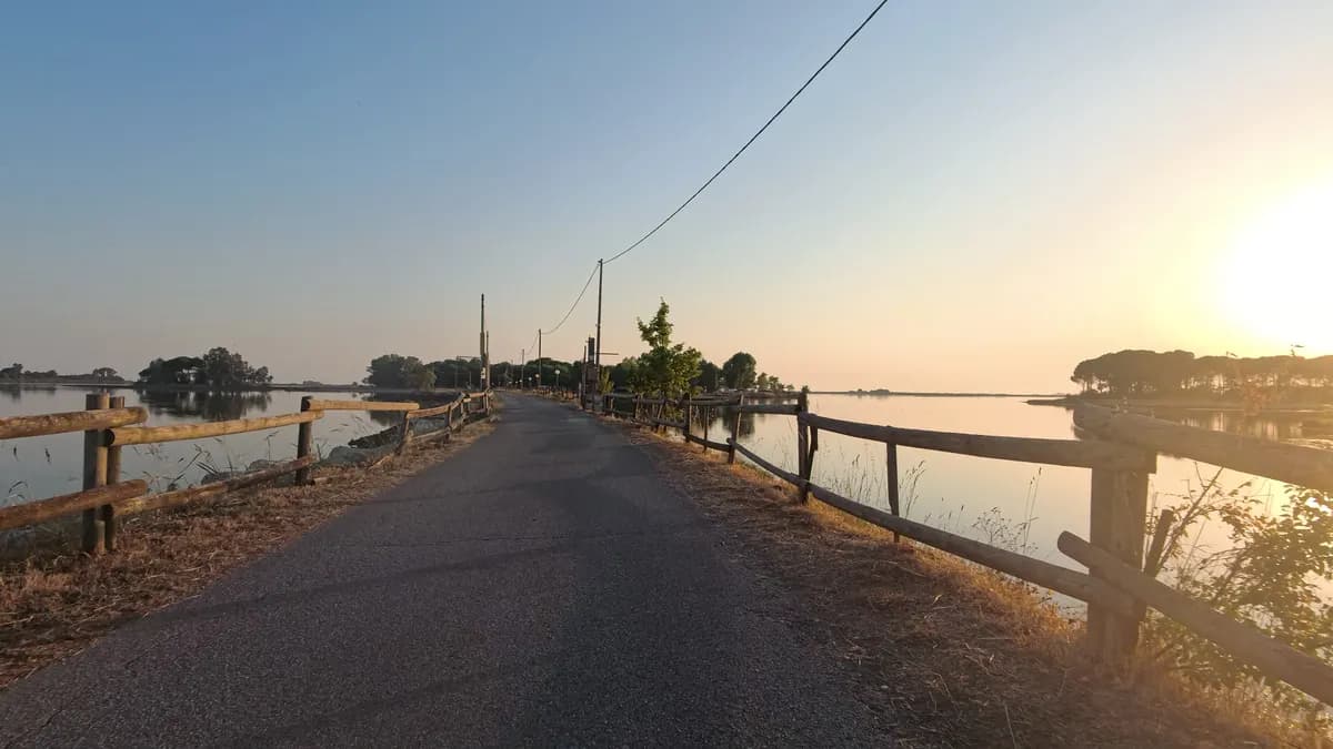 Asphaltweg auf einem Damm durch die Lagune, Holzgeländer, tief stehende Abendsonne
