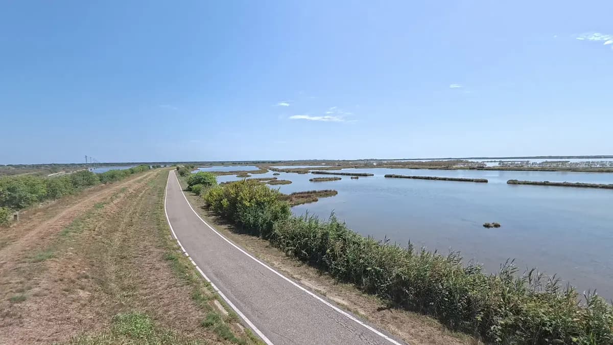 Weite Lagune mit Schilf und flachen Inseln unter blauem Himmel