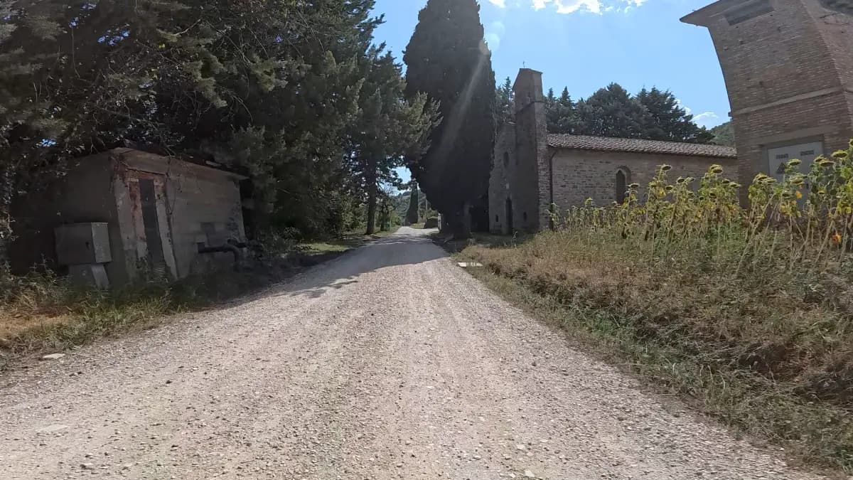 Schotterweg an einer kleinen Steinkirche vorbei, Zypressen und verblühte Sonnenblumen am Rand