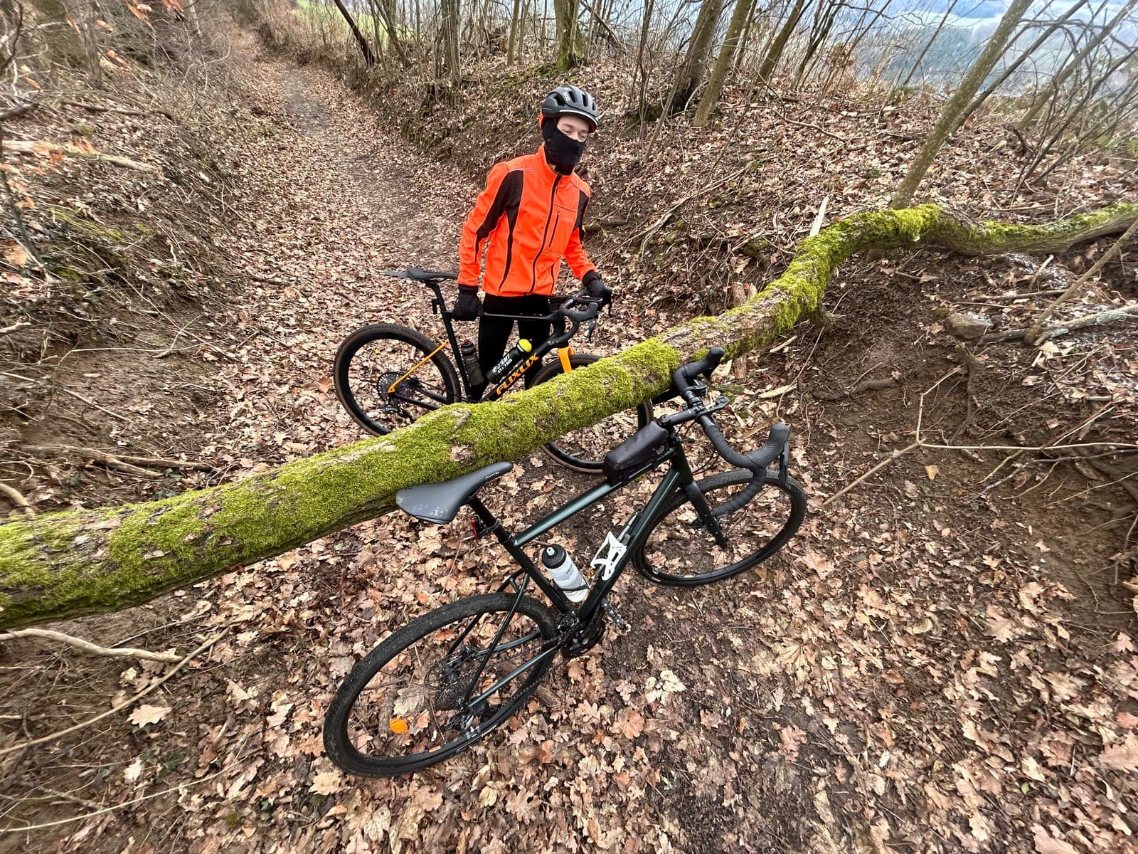 Umgestürzter Baum quer über dem Forstweg, Bikes werden drübergehoben, Herbst 2025.