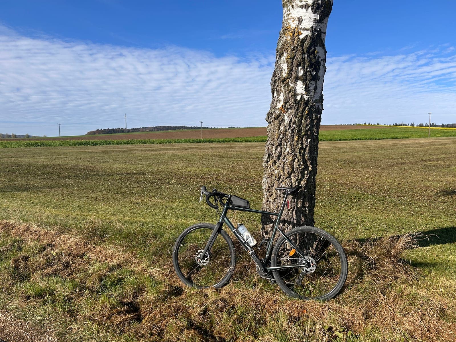 Gravelbike am Baum im Feld, Tageslicht, 2025.