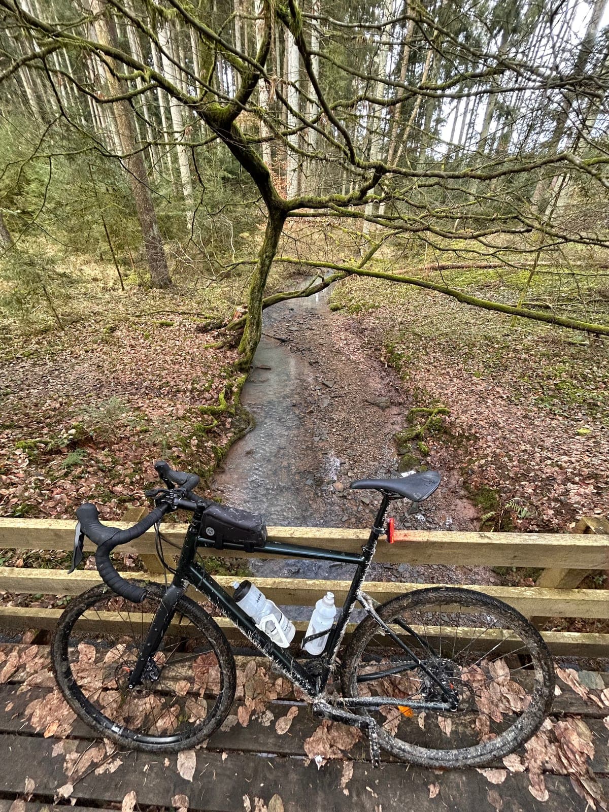 Bepacktes Gravelbike auf Holzbrücke über Bach im Herbstwald, 2025.