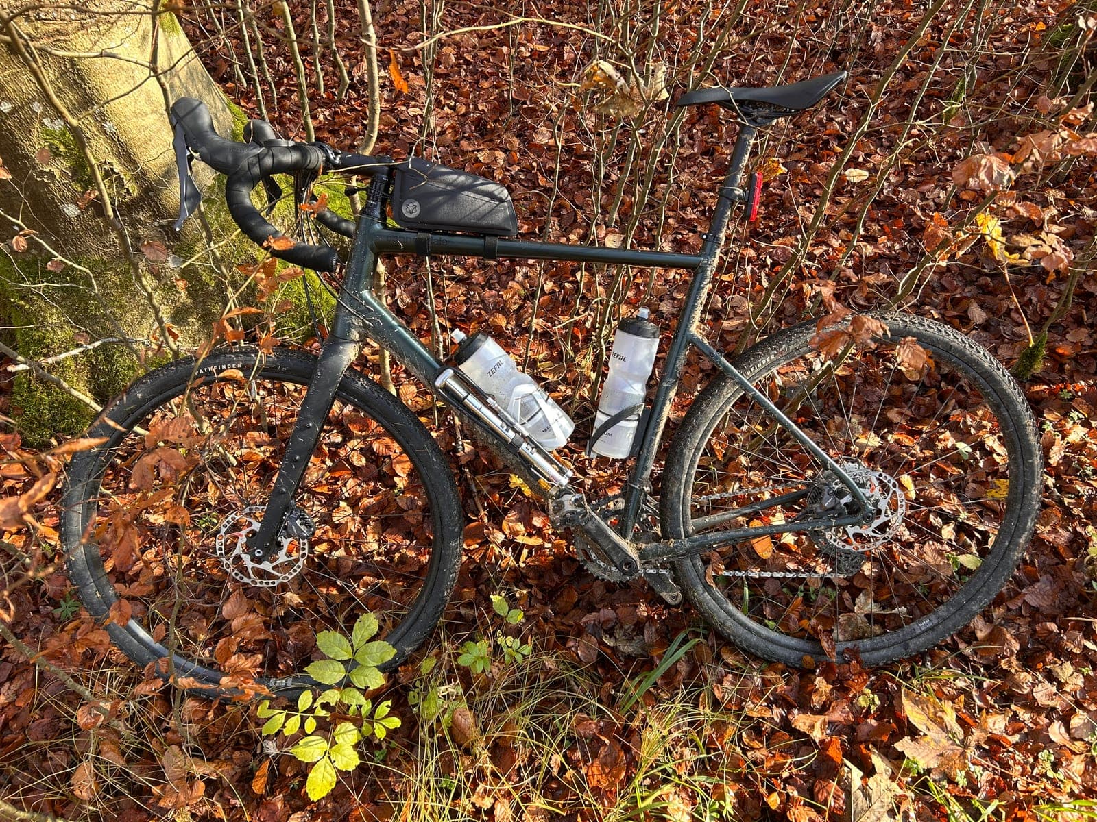 Gravelbike im Herbstlaub, Minipumpe am Unterrohr neben zwei Trinkflaschen, Oberrohrtasche, 2025.