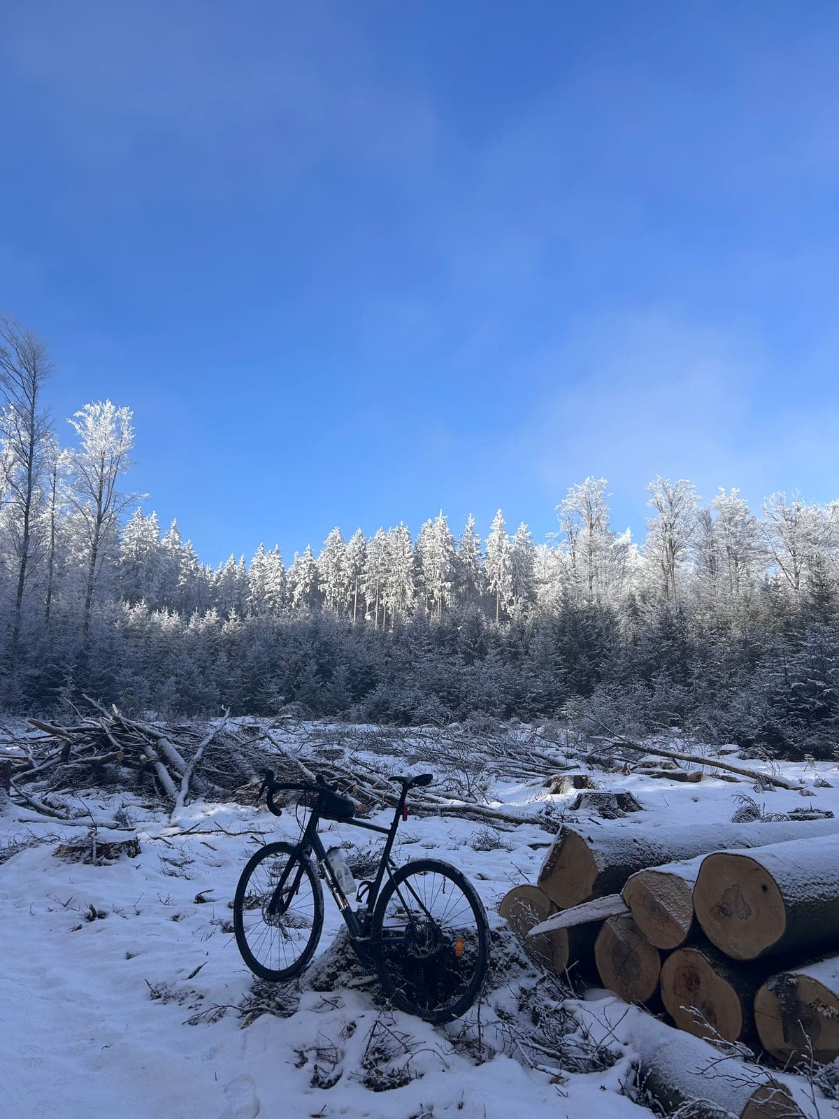 Gravelbike im sonnigen Winterwald, 2025.