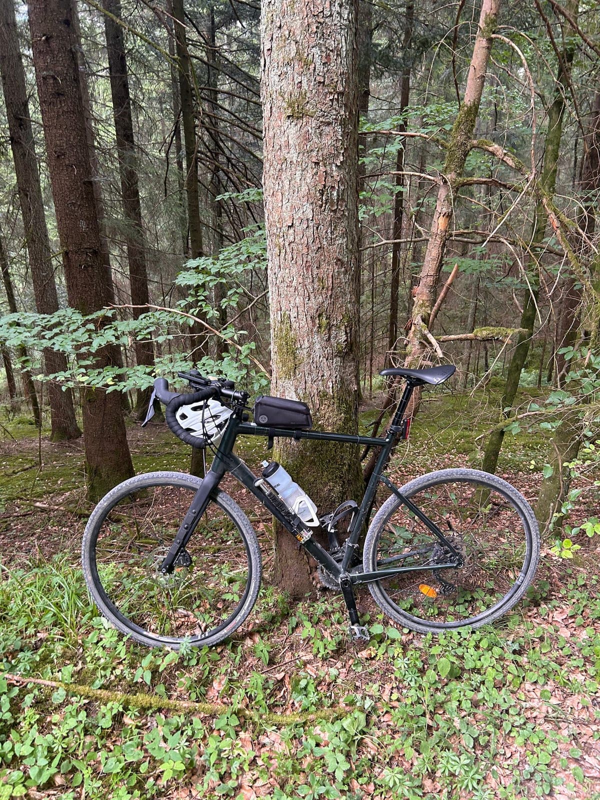 Gravelbike mit Helm am Baum im Wald, ohne Bikepacking-Taschen, 2025.